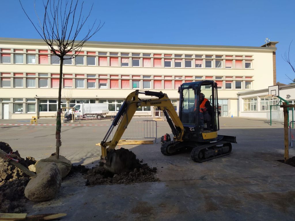 SEM - Villepreux - Plantation de 20 arbres dans les cours d'école - 2021 - V200132 (3).jpeg