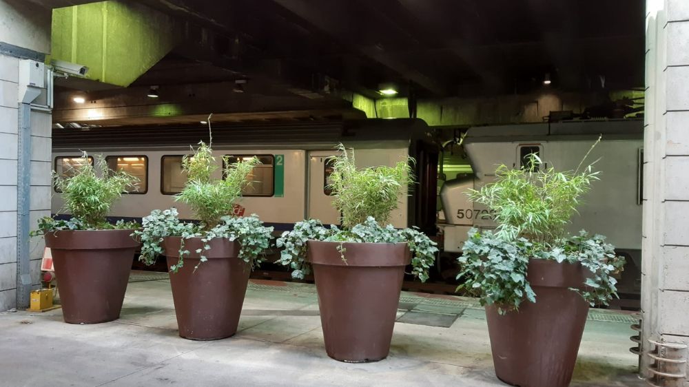 SEM - Replantation de 36 pots à la gare de Paris Montparnasse.jpg