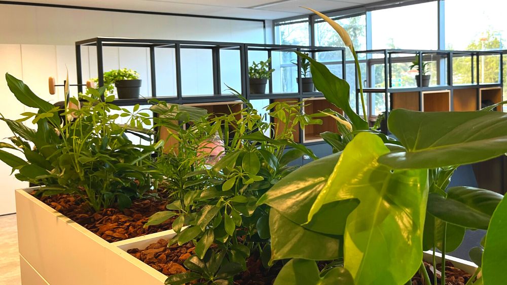 SEM - Guyancourt - Mise en place de végétaux au sein de bureaux - G220085 - 2022 (1).png