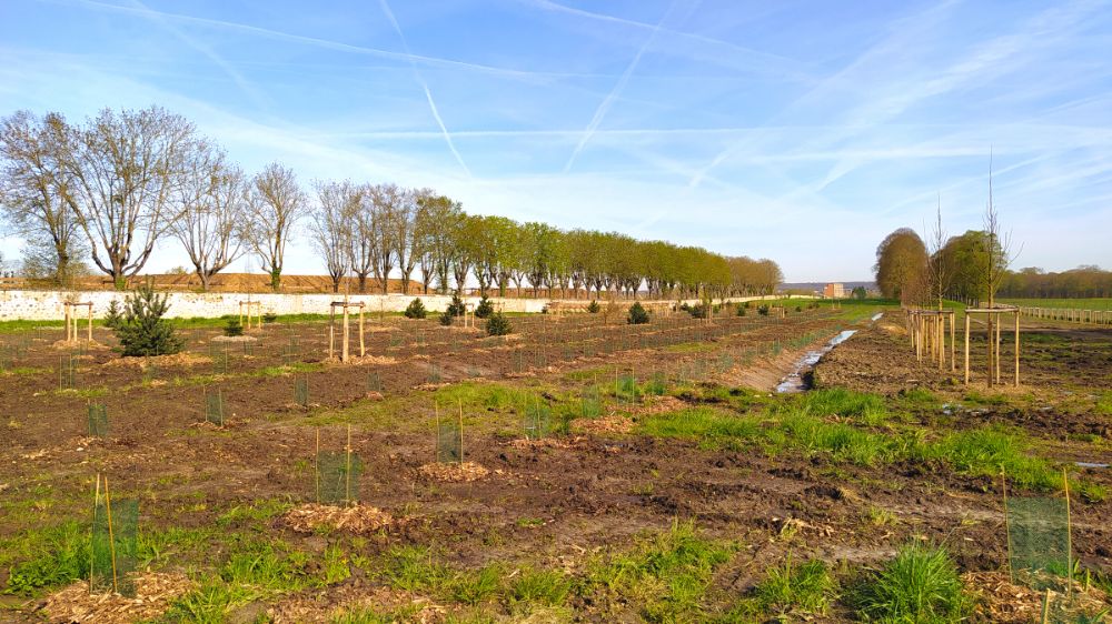 SEM Espaces Verts - Plantation d'une parcelle forestière au Domaine du Château de Versailles - 2022 (1).png