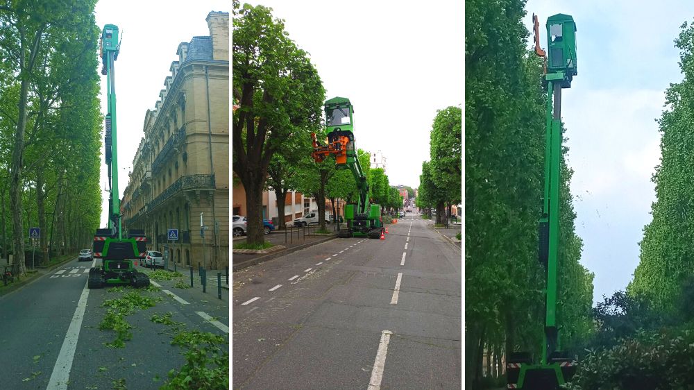 SEM - Toulouse - Taille en rideau utilisation de la H28 - 2022.png