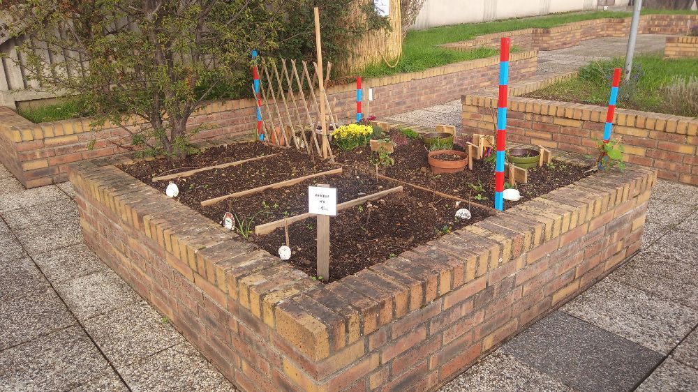 carrés potagers partagés