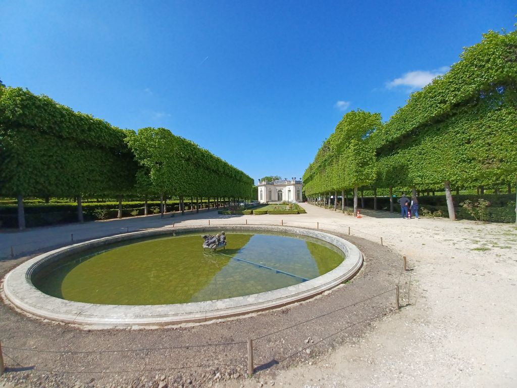 SEM - Versailles - Taille architecturée Château de Versailles - 2022 (2)-min.jpg